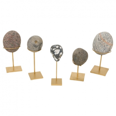 Group of Mounted Natural Sea Stone Specimens