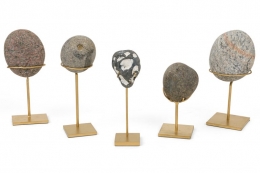 Group of Mounted Natural Sea Stone Specimens
